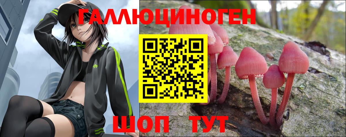 Галлюциногенные грибы мицелий Москва